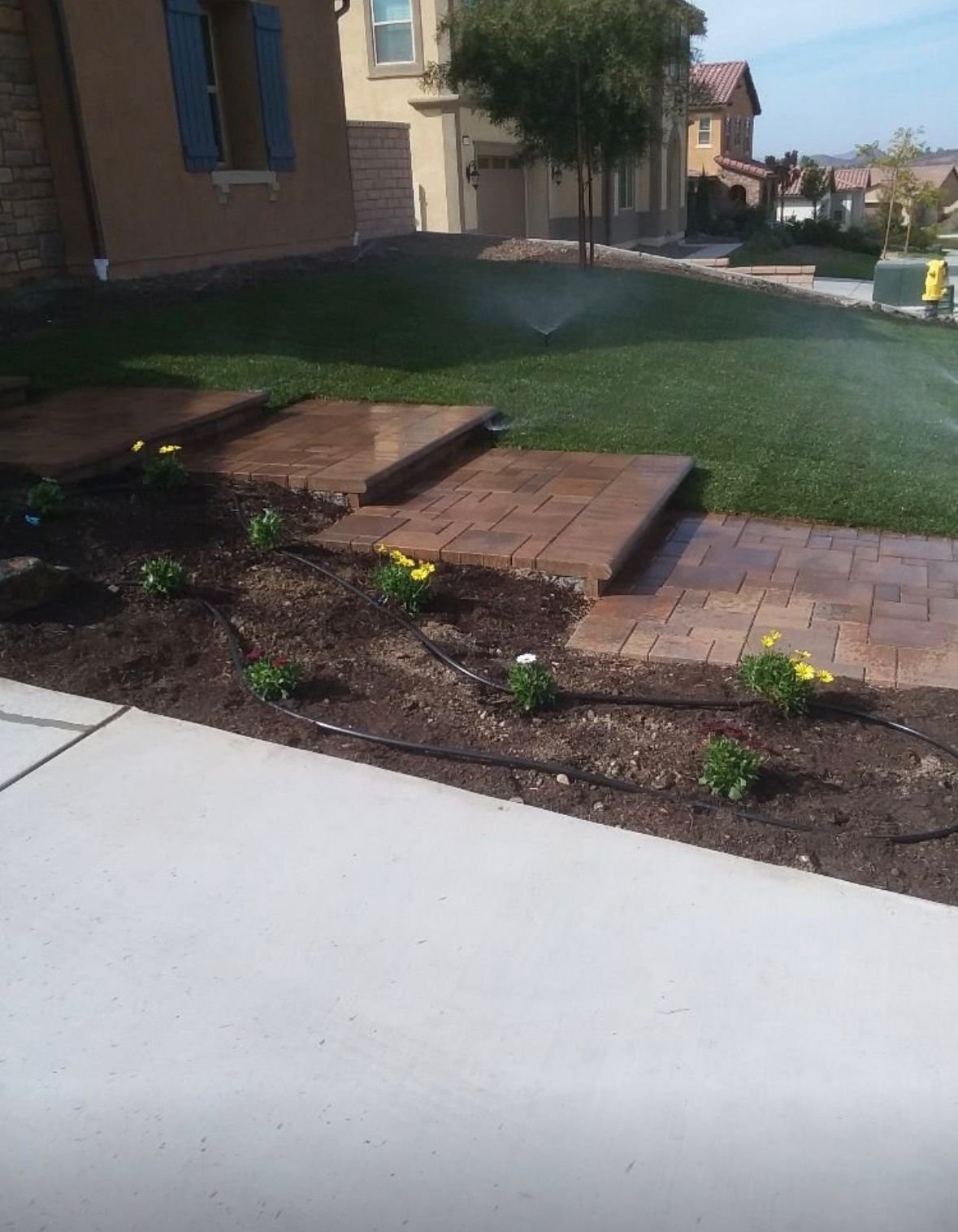 Paver Patio